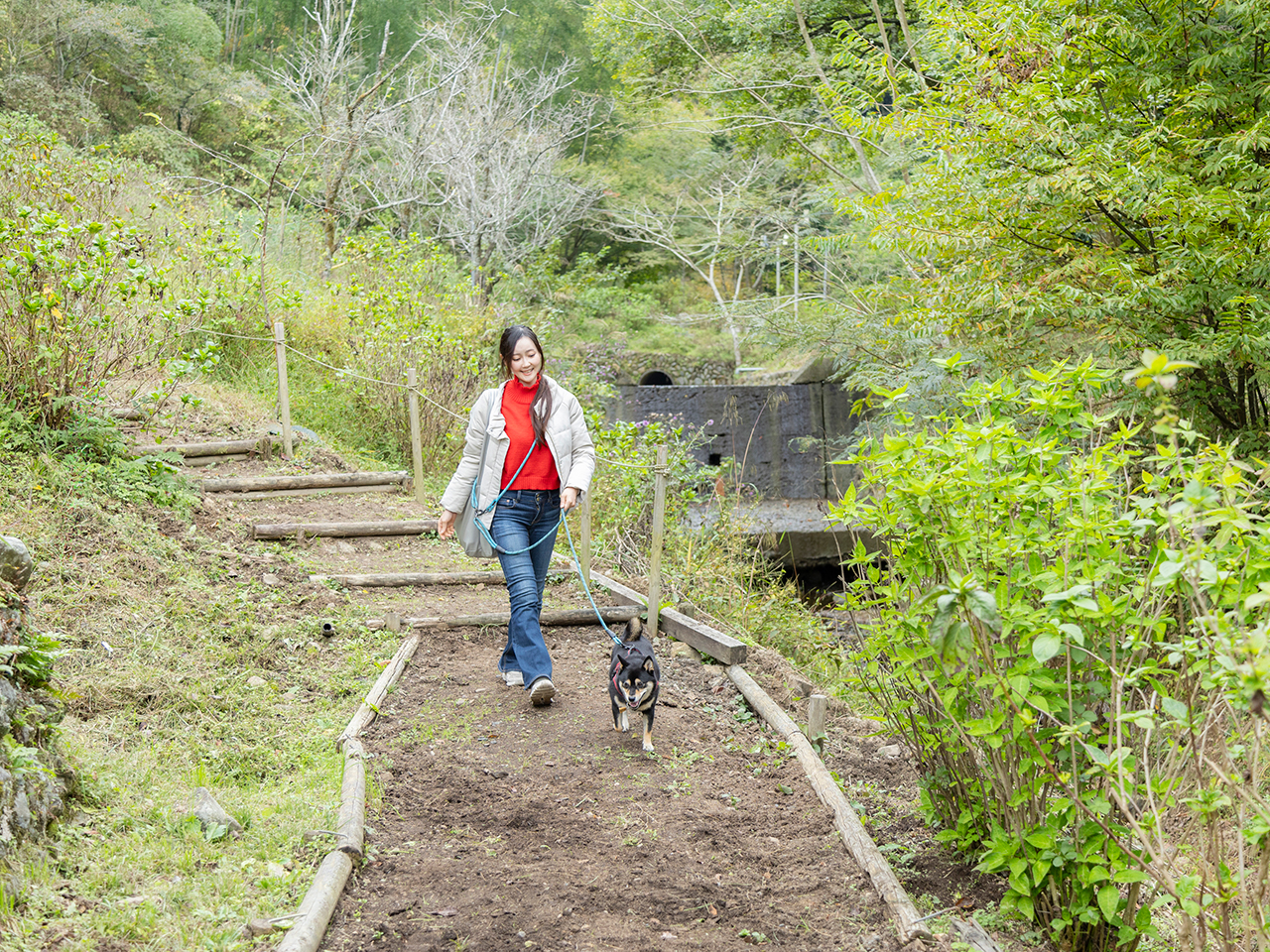 ハイキングコースはなだらかな丘陵。途中にはあきる野市を一望できるスポットも