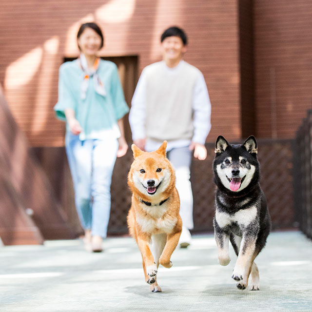 伊豆高原わんわんパラダイスホテル&コテージ
