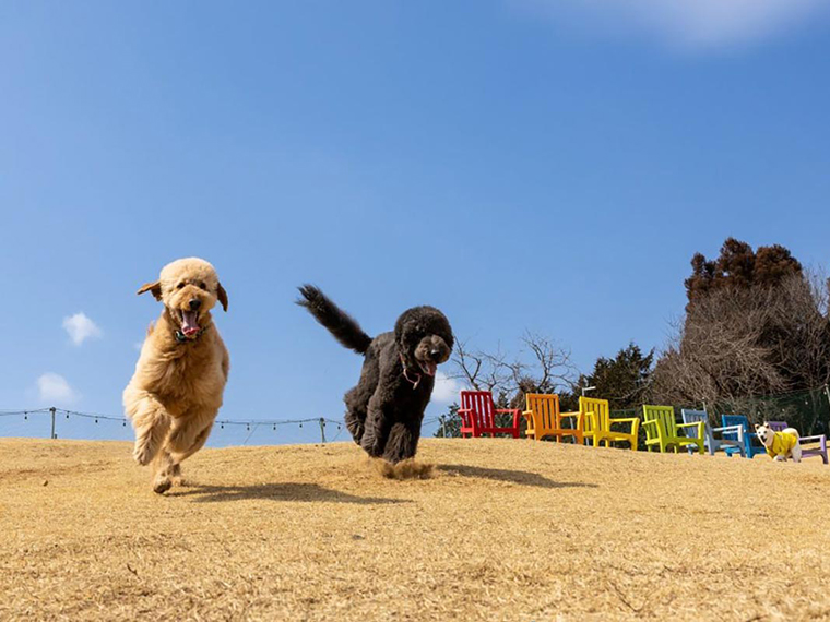 58ロハスクラブ