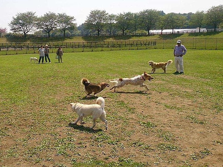 道の駅ろまんちっく村