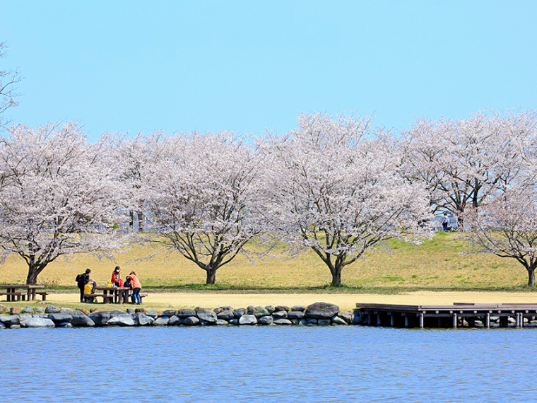氏家ゆうゆうパーク