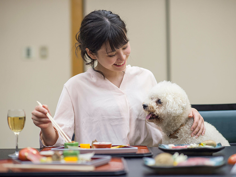 松阪わんわんパラダイス 森のホテルスメール