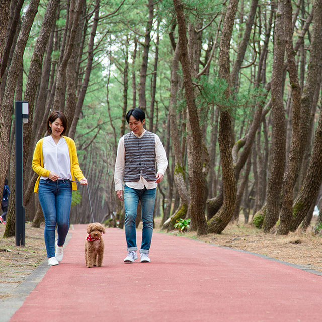 シーガイア・フォレスト・コテージ