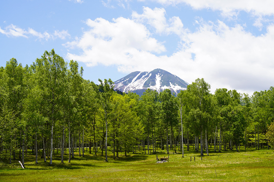 【飛騨高山周辺】愛犬と一緒に楽しむ体験スポット5選｜おすすめ宿も要チェック！