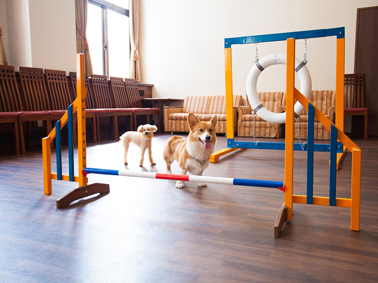 高山わんわんパラダイスホテル＆コテージ