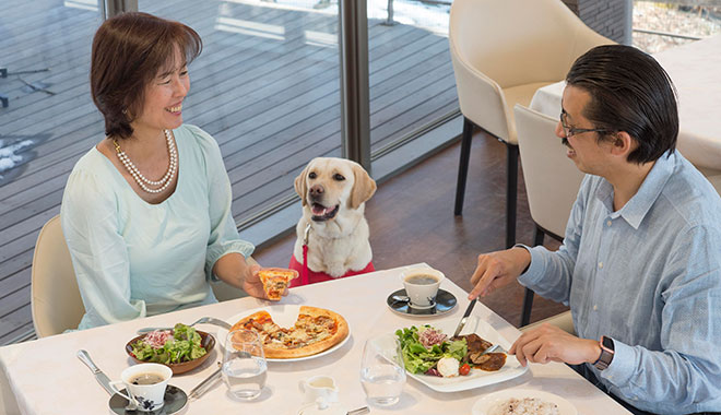 ペット同伴可能なレストラン