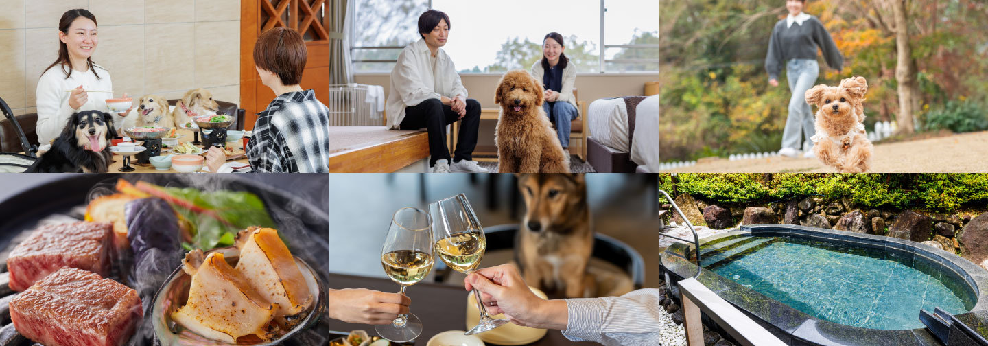 わんわんパラダイス 奈良生駒（4/11リブランドオープン）