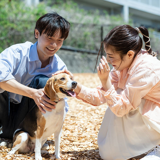 わんわんパラダイス 奈良生駒（4/11リブランドオープン）