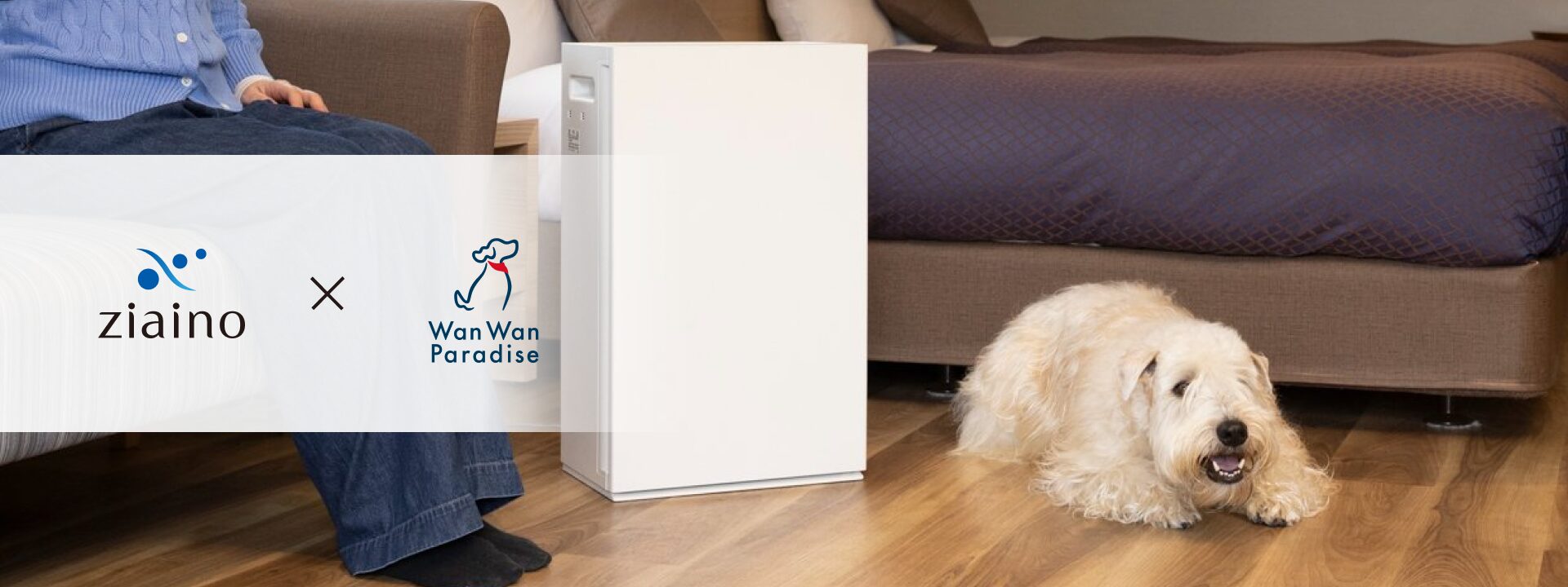 Ziaino × Wan Wan Paradise