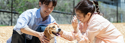 WP Naraikoma 428×150 001
