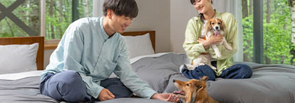 SP WP Tateshina 428×150