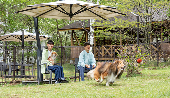 DOG PARK