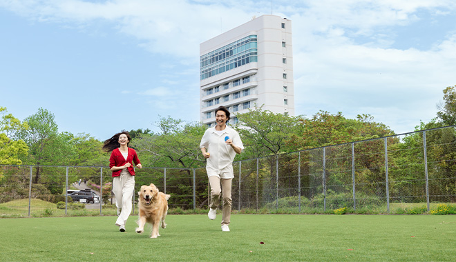 DOG PARK