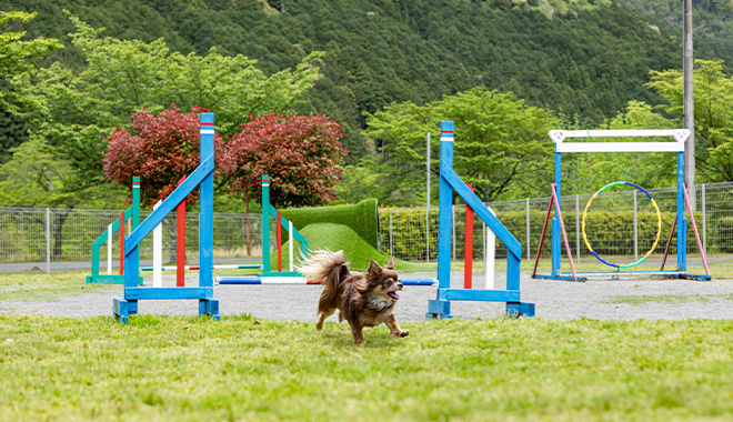 WP Matsusaka 660×380 001