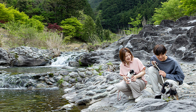河川公園