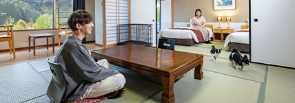 SP WP Matsusaka 001