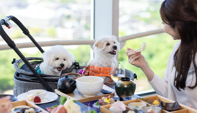 ペット同伴可能なレストラン