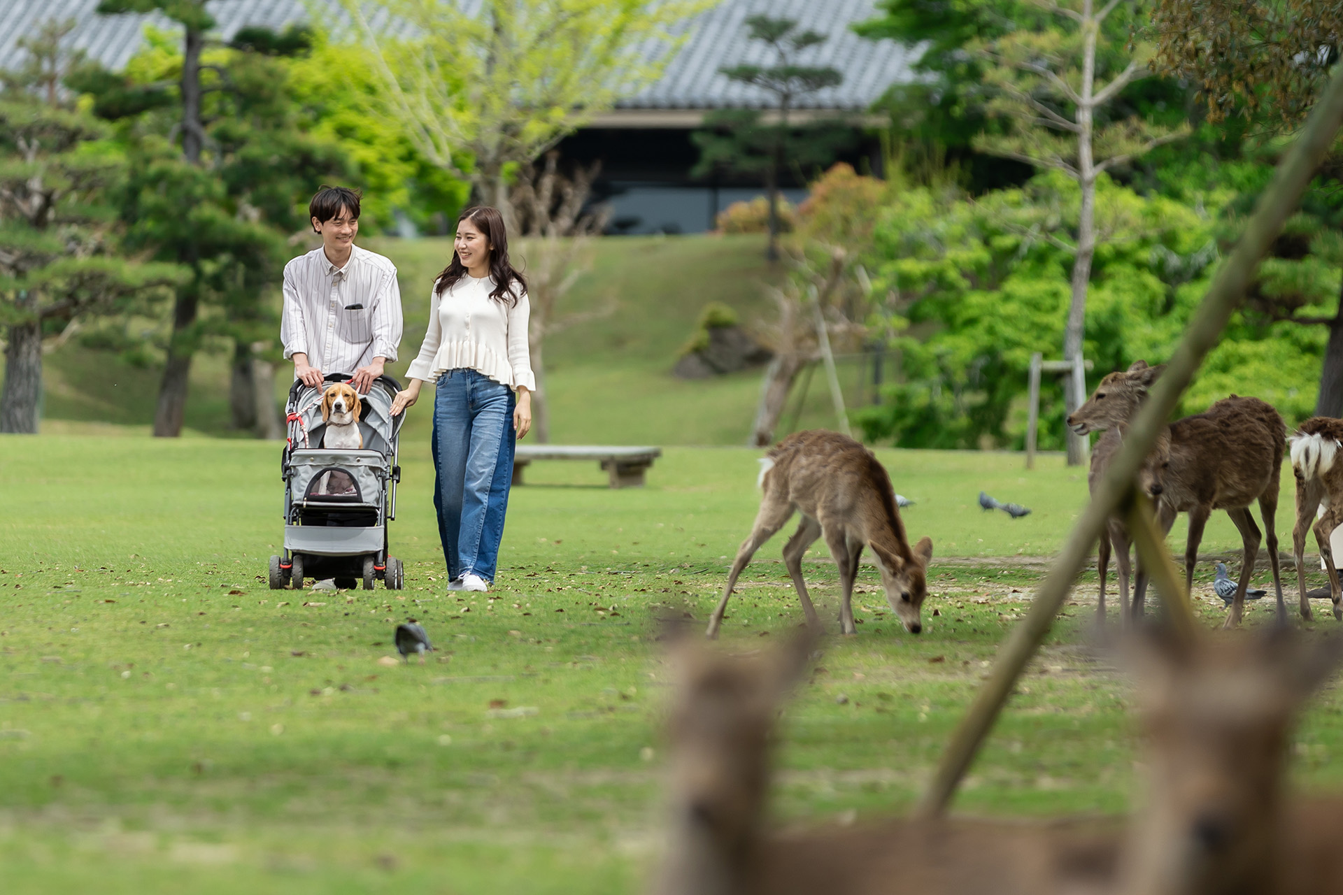 わんわんパラダイス 奈良生駒（4/11リブランドオープン）