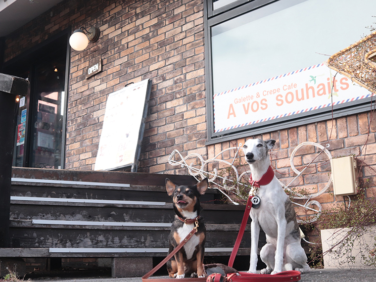 A vos souhaits 看板犬