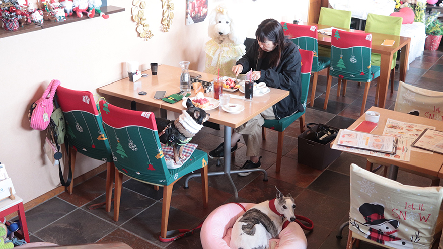 A vos souhaits 店内