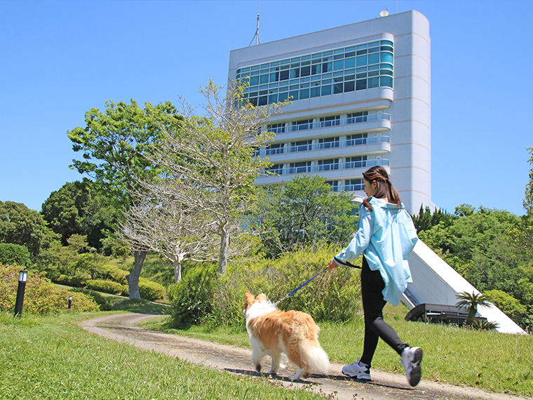 Nankishirahama Wanwan Paradise Exterior TravelImage