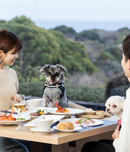 わんわんパラダイス プレミア 伊豆高原 ｜ 愛犬リゾート ｜ アイコニア