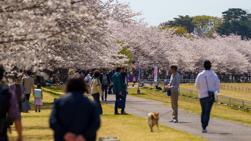Enjoy a Dog Friendly Trip in Kitsuregawa 004 760×570