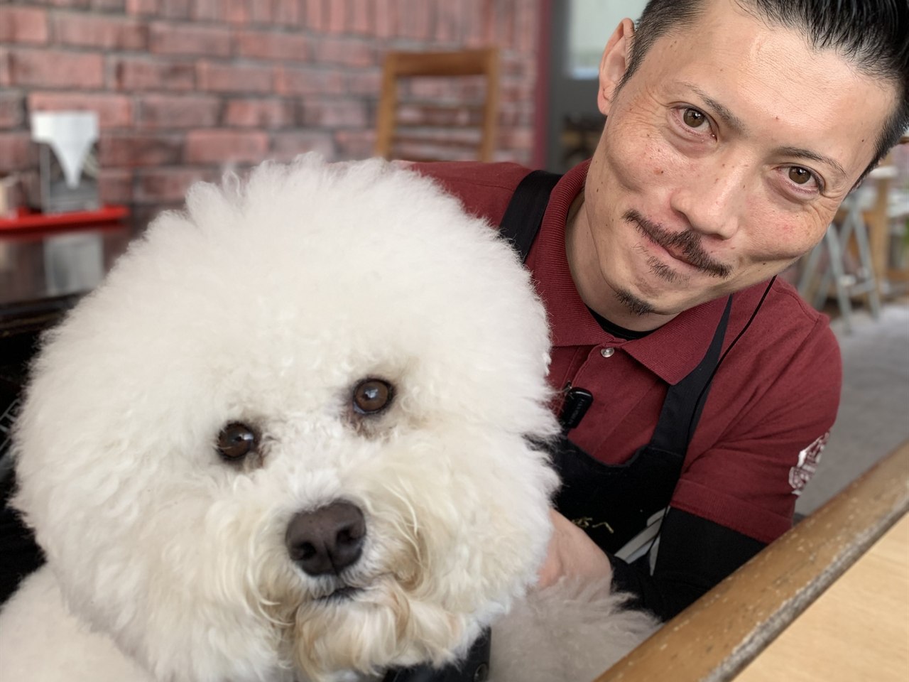 ステーキハウス寿楽 本店で愛犬と過ごす様子