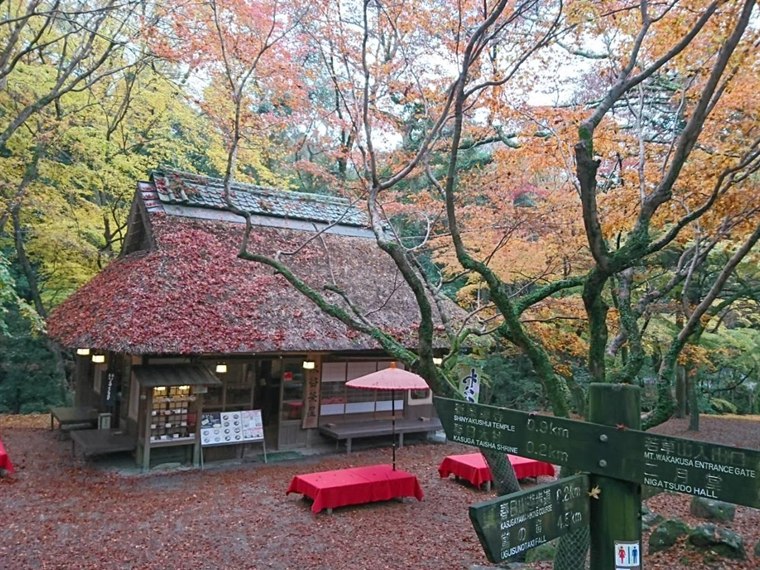 紅葉に囲まれた水谷茶屋