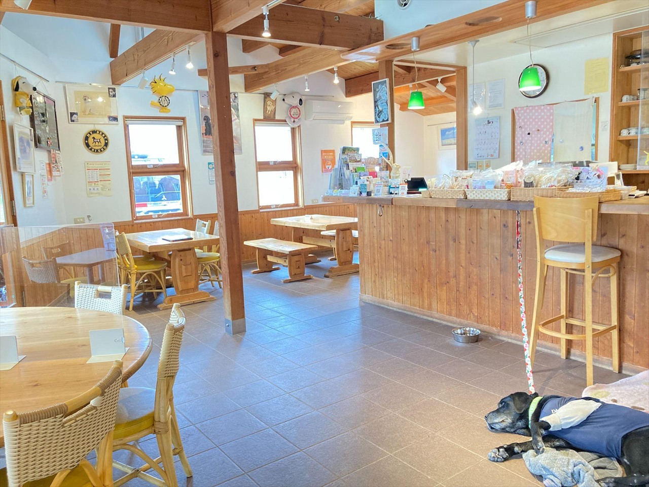 愛犬と一緒に過ごせるDog Cafe WITHの店内