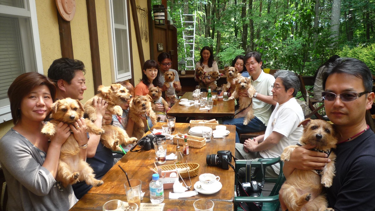 愛犬と一緒に食事を楽しむマジョラムの席