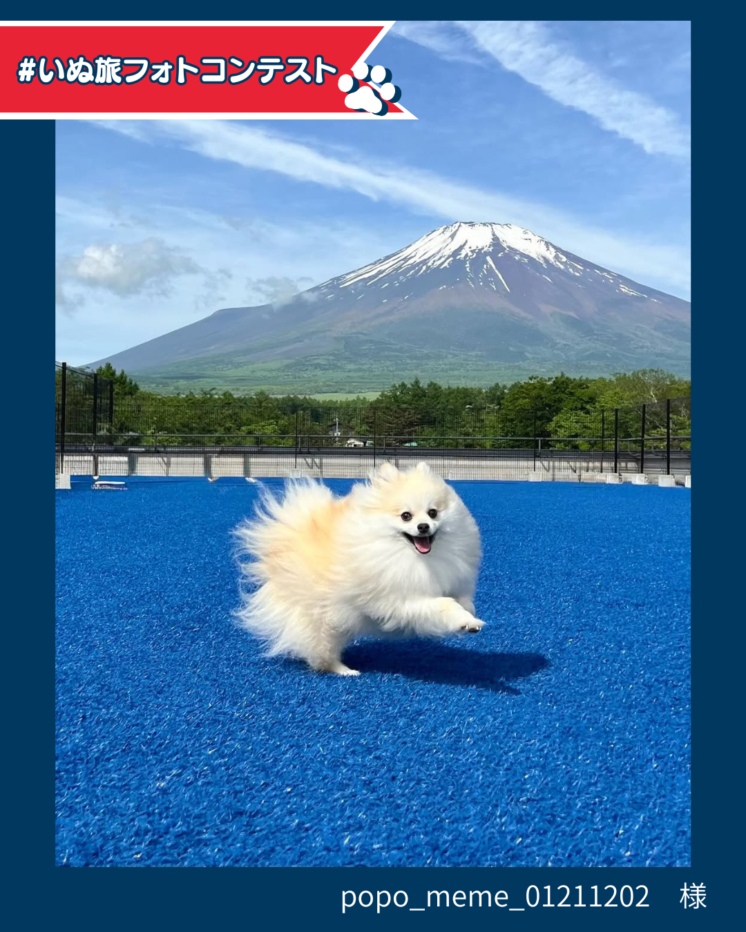 グランプリ：popo_meme_01211202様（わんわんパラダイス プレミア 山中湖）