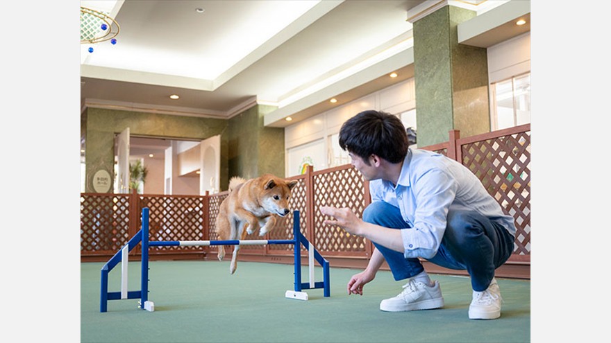 室内プレイスペースで遊ぶわんちゃん