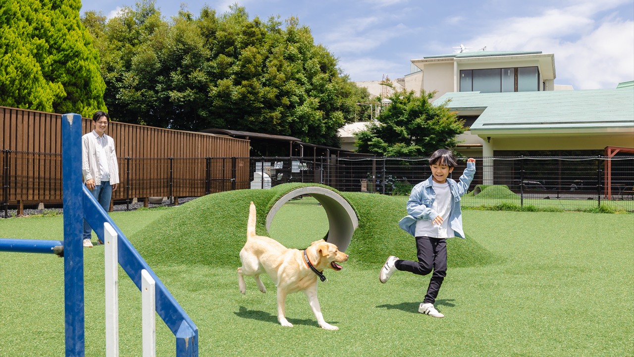 Slide01 dogpark 1280x720