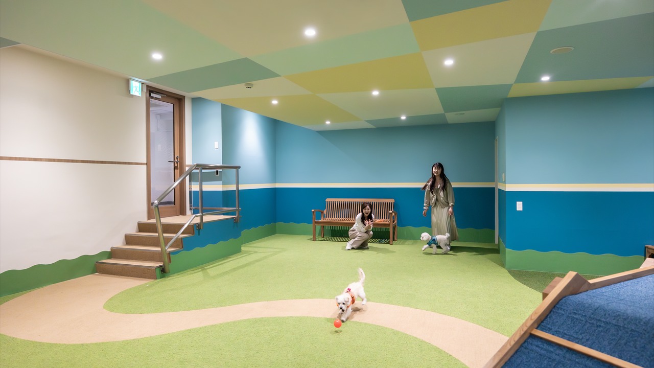 Slide01 indoor dogrun 1280x720