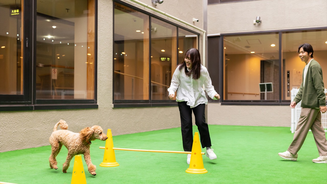 Slide04 dogrun 1280x720