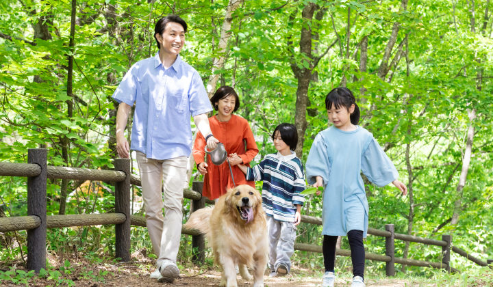 多彩なドッグランと自然の中で、愛犬とリラックス