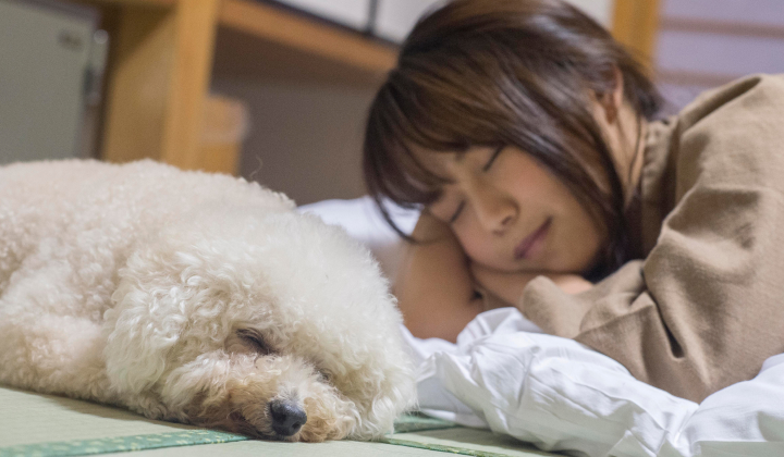 愛犬と「ずっと一緒」に過ごせる 同伴環境